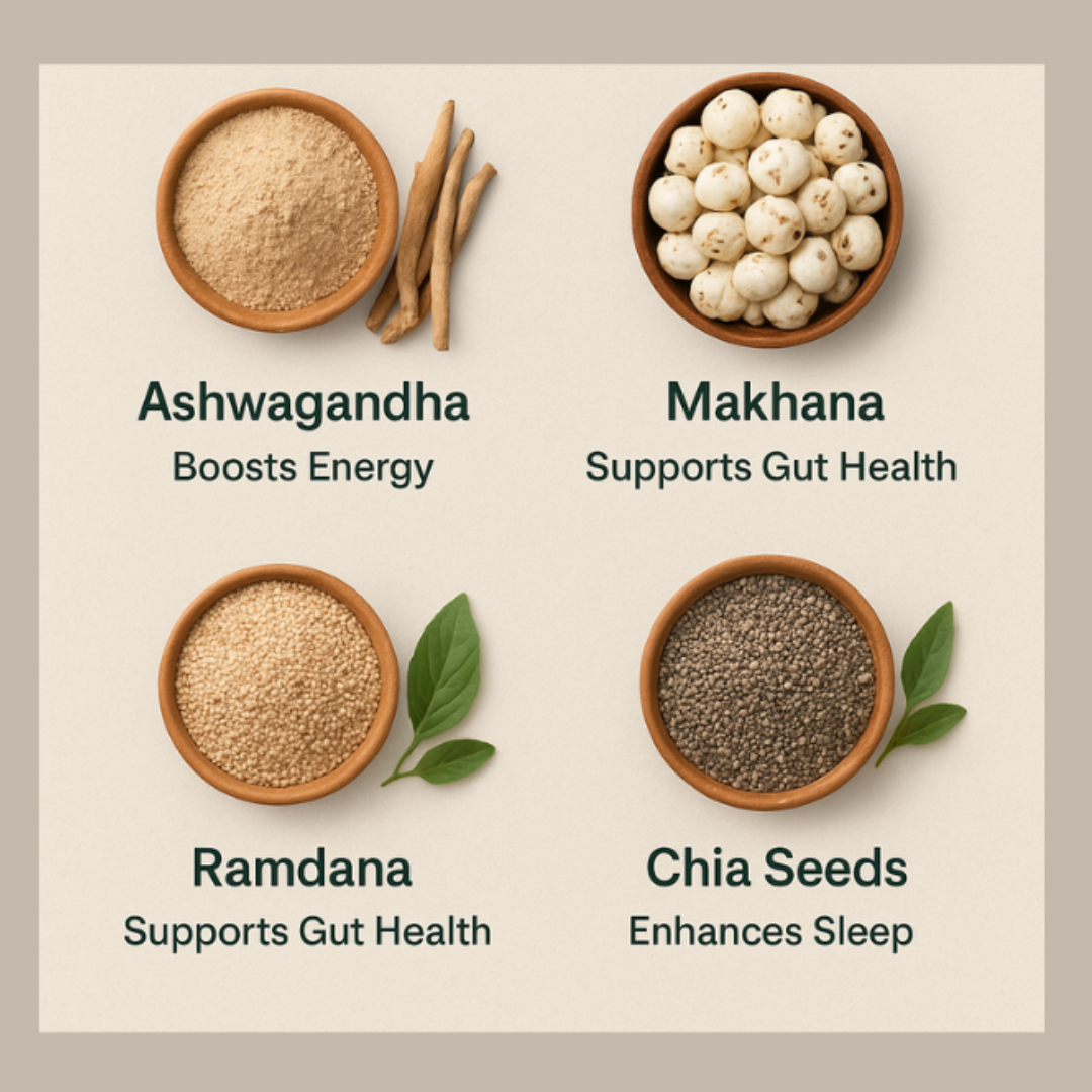 Discover How Arigoy’s Science-Backed Ingredients Improve Energy, Gut Health, and Restful Sleep Naturally