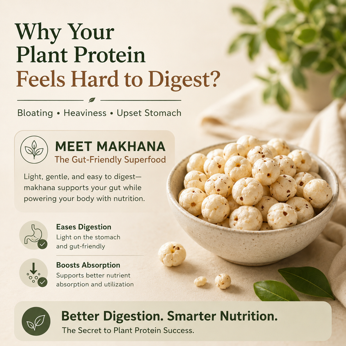 Why Your Plant Protein May Be Hard to Digest and How Makhana Superfood Can Fix It
