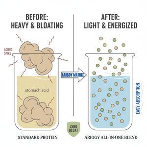 ALL-IN-ONE Daily Nutrition Blend - Turmeric Latte Flavor (15 days)