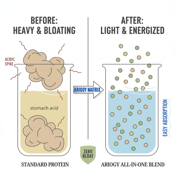 ALL-IN-ONE Daily Nutrition Blend - Turmeric Latte Flavor (15 days)