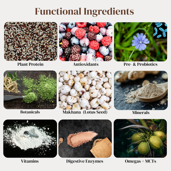 ALL-IN-ONE Daily Nutrition Blend-Hazelnut Chocolate