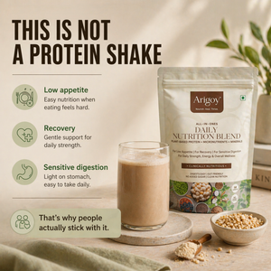 ALL-IN-ONE Daily Nutrition Blend-Hazelnut Chocolate