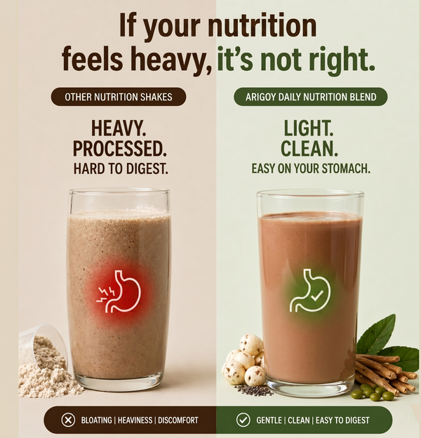 ALL-IN-ONE Daily Nutrition Blend-Hazelnut Chocolate