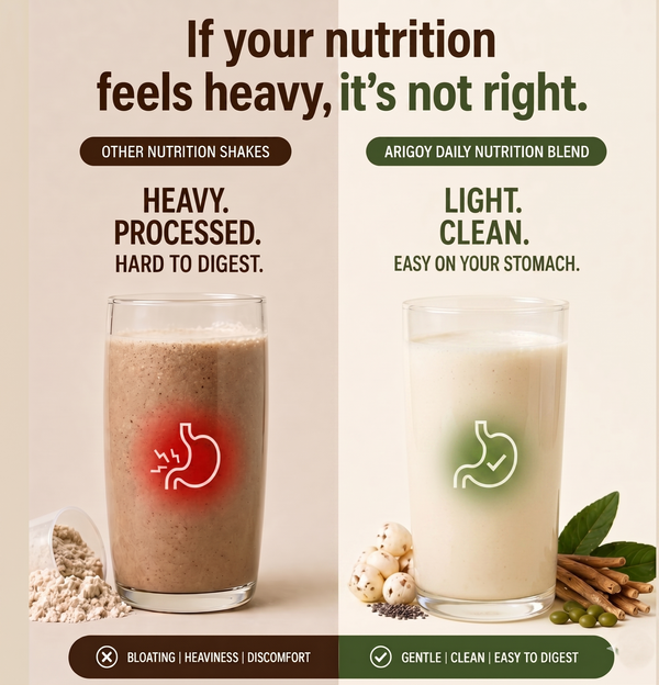 ALL-IN-ONE Daily Nutrition Blend - Vanilla